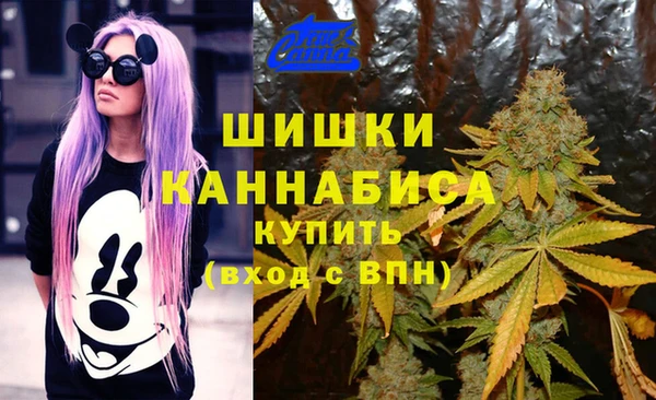 гашик Волосово