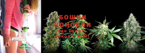 PSILOCYBIN Володарск